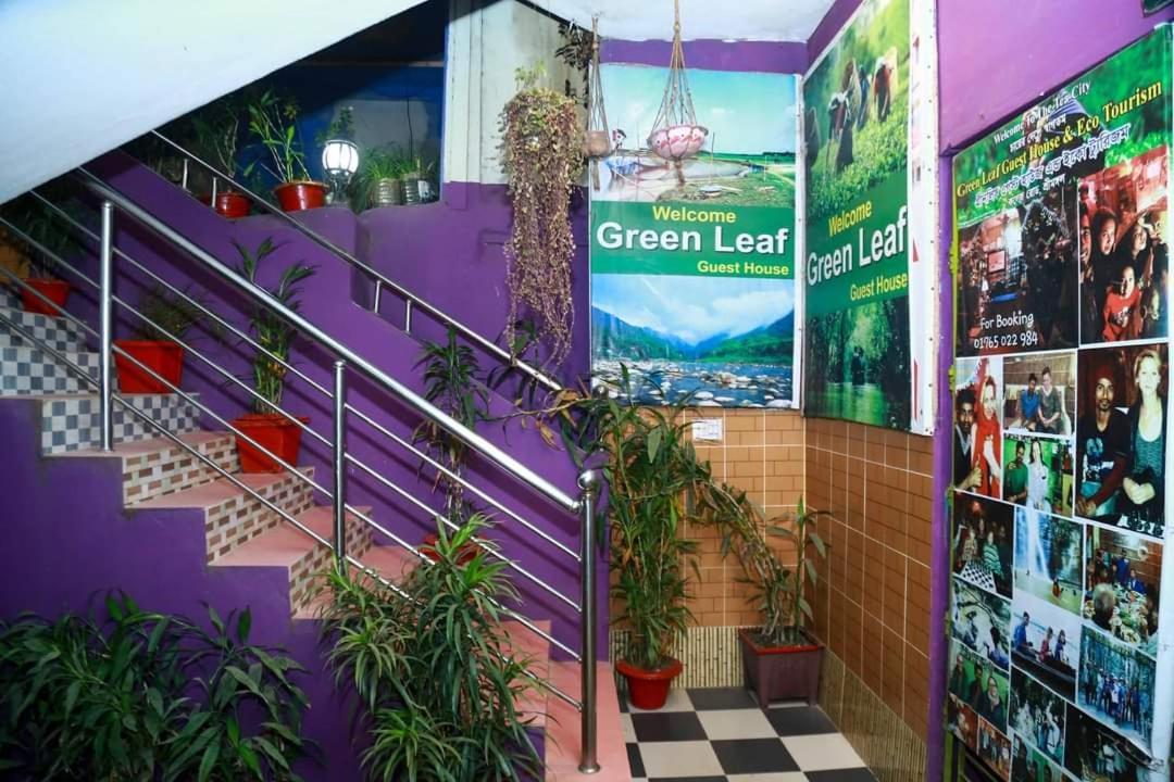 Green Leaf Guest House Srimangal Exterior foto